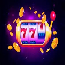 dp333